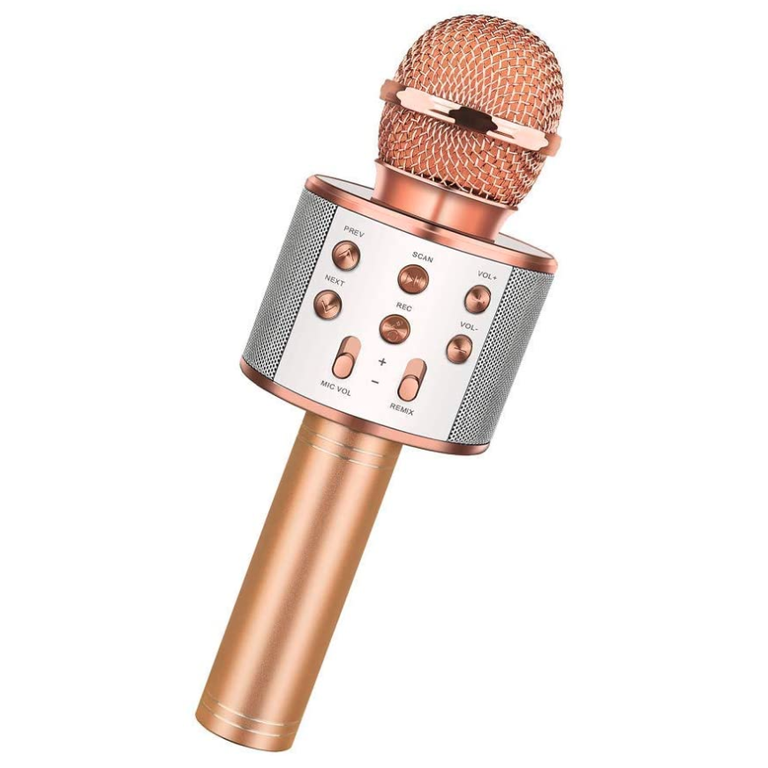 Karaoke microphone