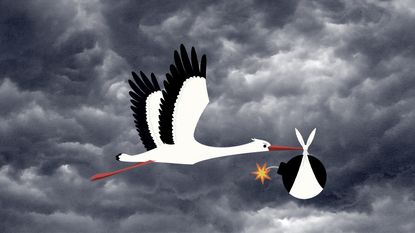 A mean stork.