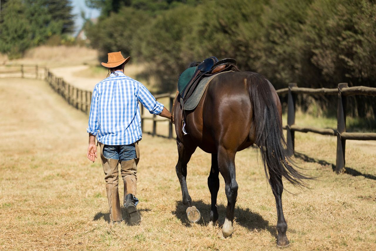 Man and horse.