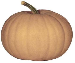 The adequately spooky pumpkin called Sand Man is covered with a skin that looks and feels like butternut squash. Its unusual, flesh-tone color makes for an even eerier jack-o-lantern.