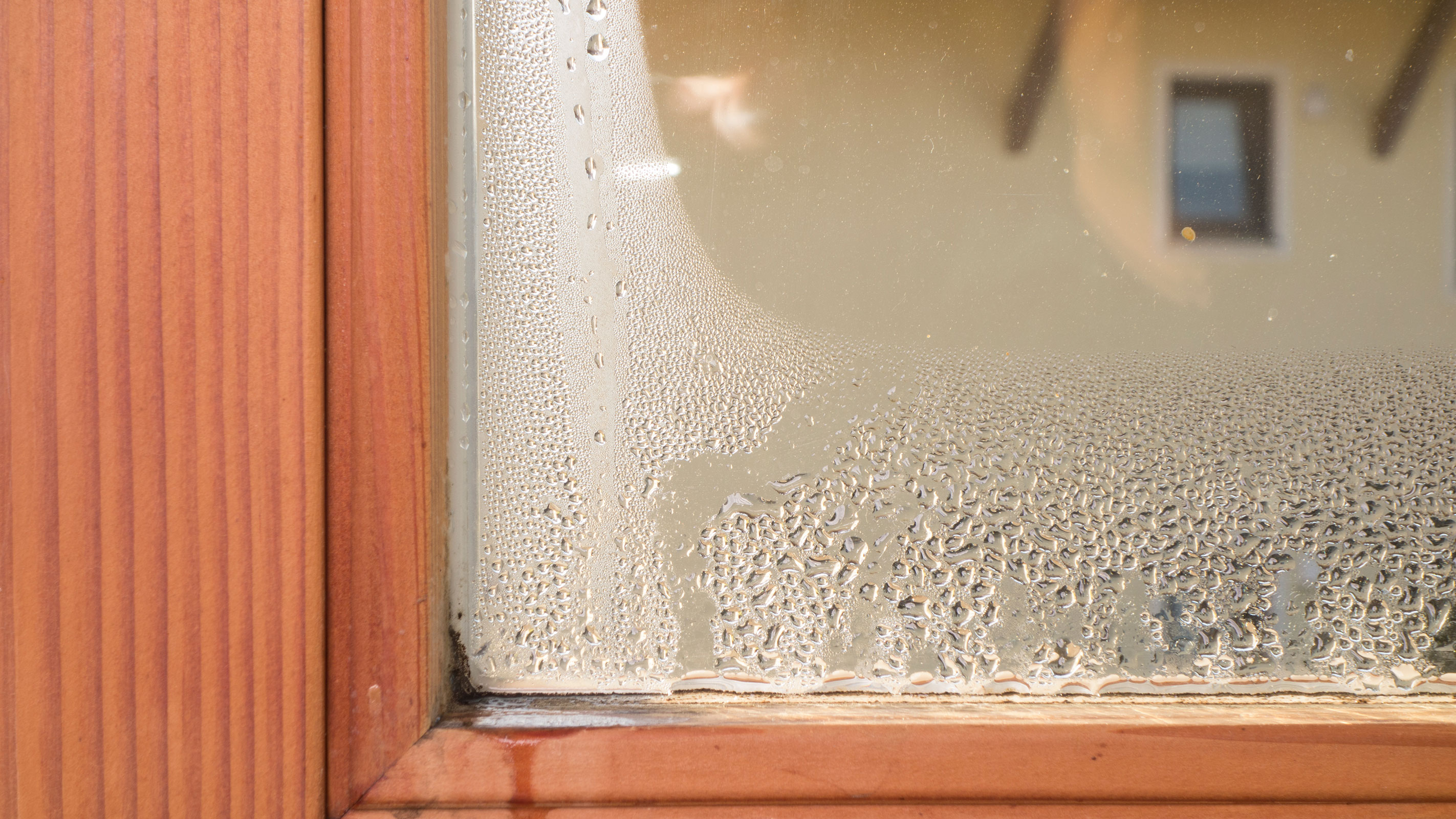 How to get rid of damp in your home for good Homebuilding