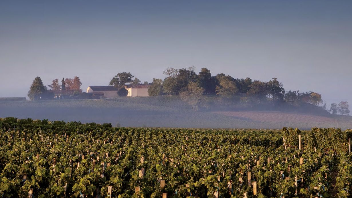 Clarence Dillion Château Quintus estate in bordeaux