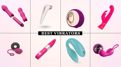 best vibrator round-up: featuring the Satisfyer Pro 2, We-Vibe Sync, Lelo Ora 3, and more