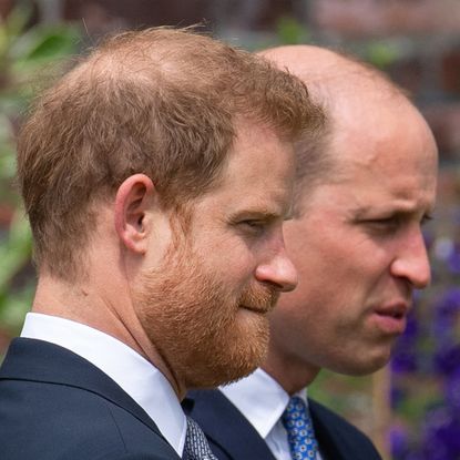 Prince Harry and Prince William