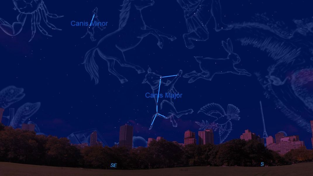 Canis Major and Canis Minor are visible in the south-southwest after sunset.