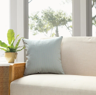 A striped accent pillow on a couch with a pot plant beside it.