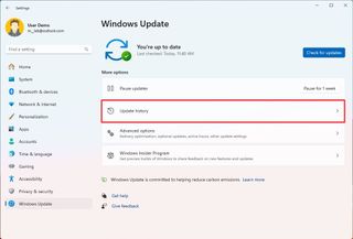 Windows update history