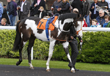 Modern_Society_at_Kempton.jpg