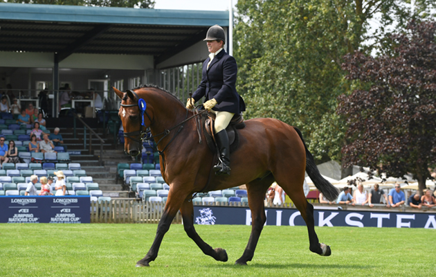 RIHS 27 07 2018