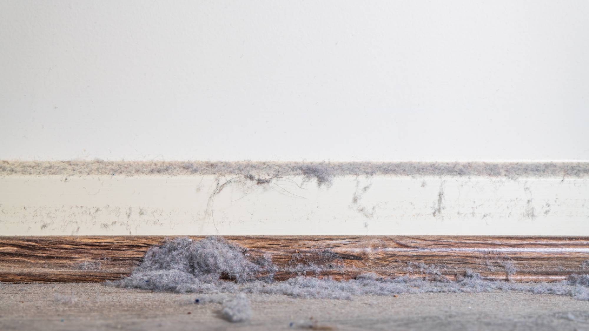 Dusty baseboards