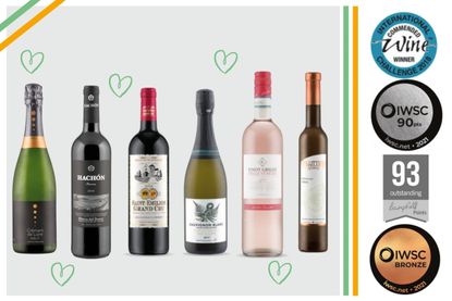 A selection of the best Lidl wine available to buy in store