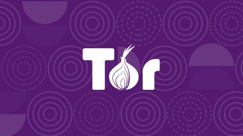 what to do after you download the tor browser