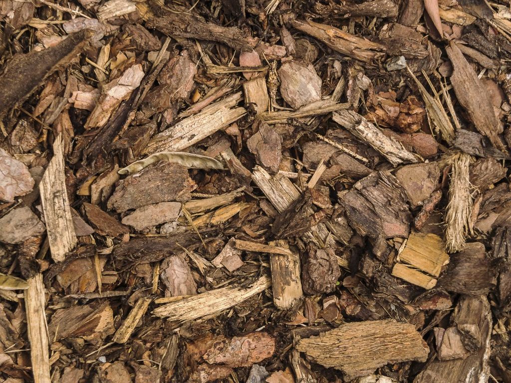 Benefits Of Wood Mulch Are Wood Chips Good Mulch For Gardens