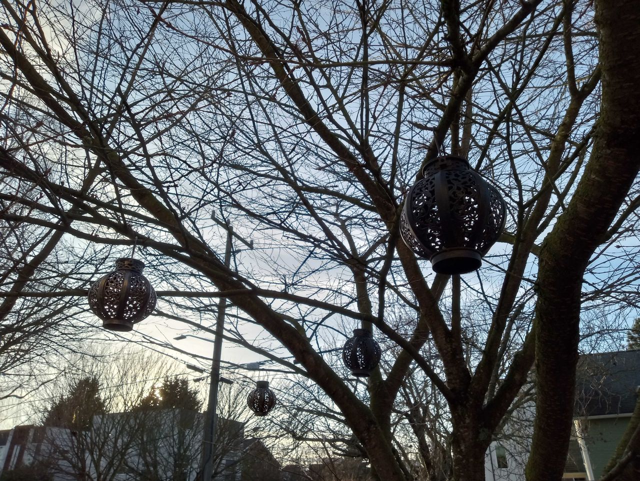 Moto G Play (2023), low-light image of ornaments on trees outside