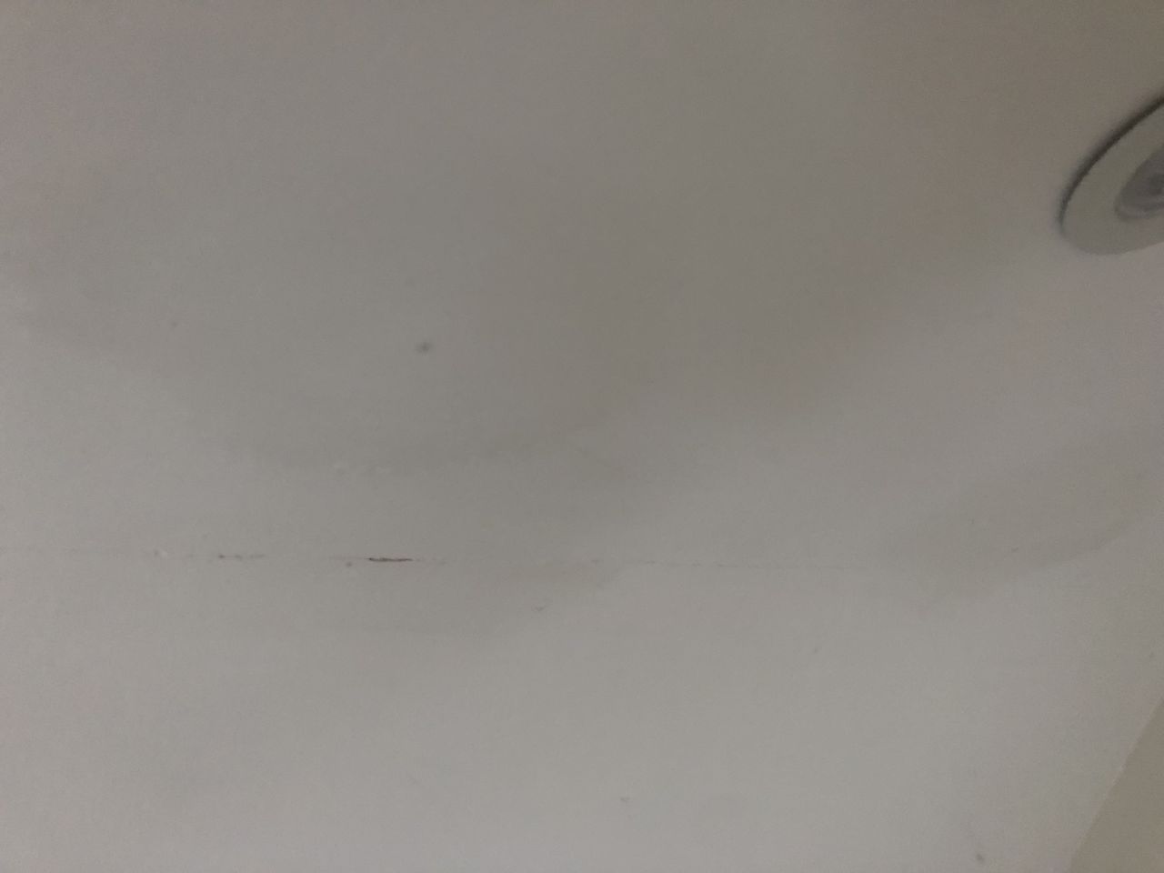 The mould after soda was applied