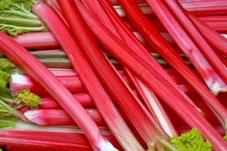 rhubarb