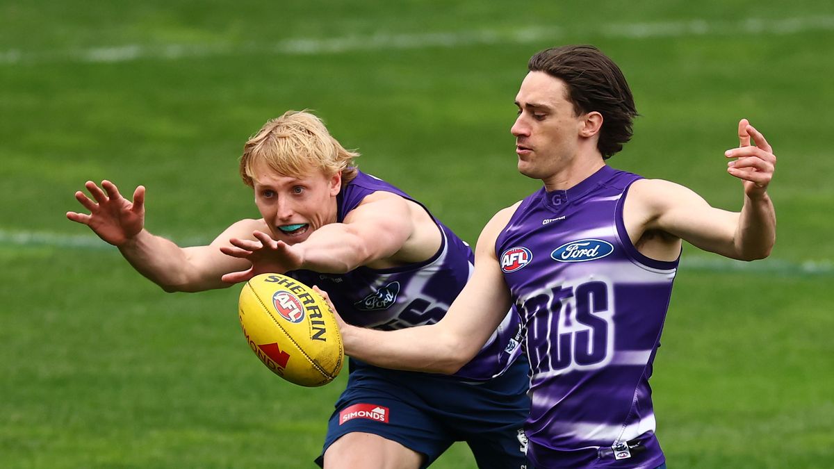 AFL Finals 2025 live stream: how to watch every game for FREE, schedule, kick-off times