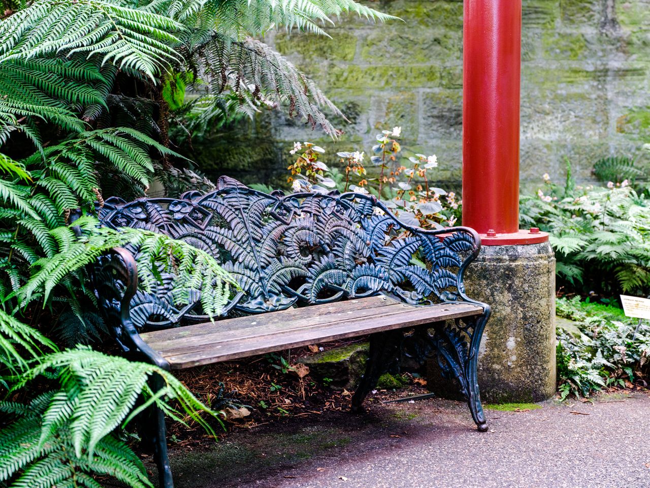 Fujifilm GFX100S sample shots