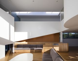 House in the Dune by Worrell Yeung, double height living room