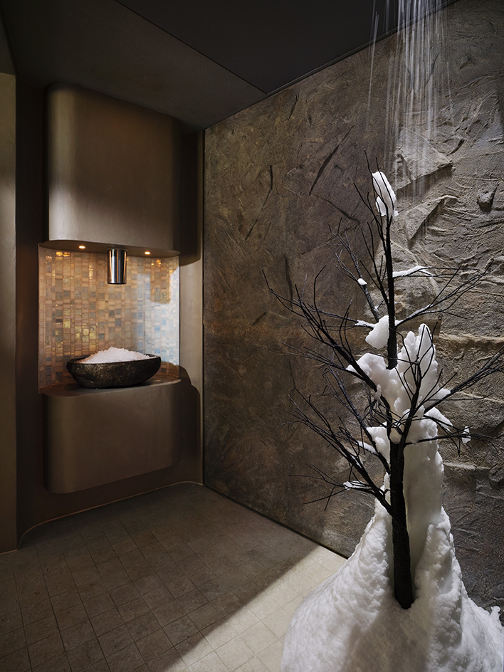 views of Coworth Park Spa / Dorchester Collection