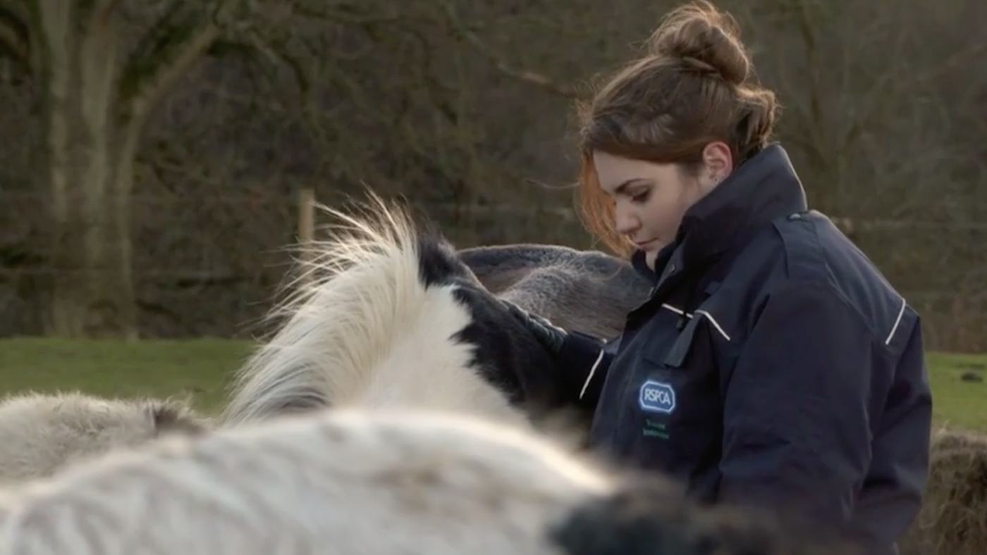 RSPCA-tv-show.png