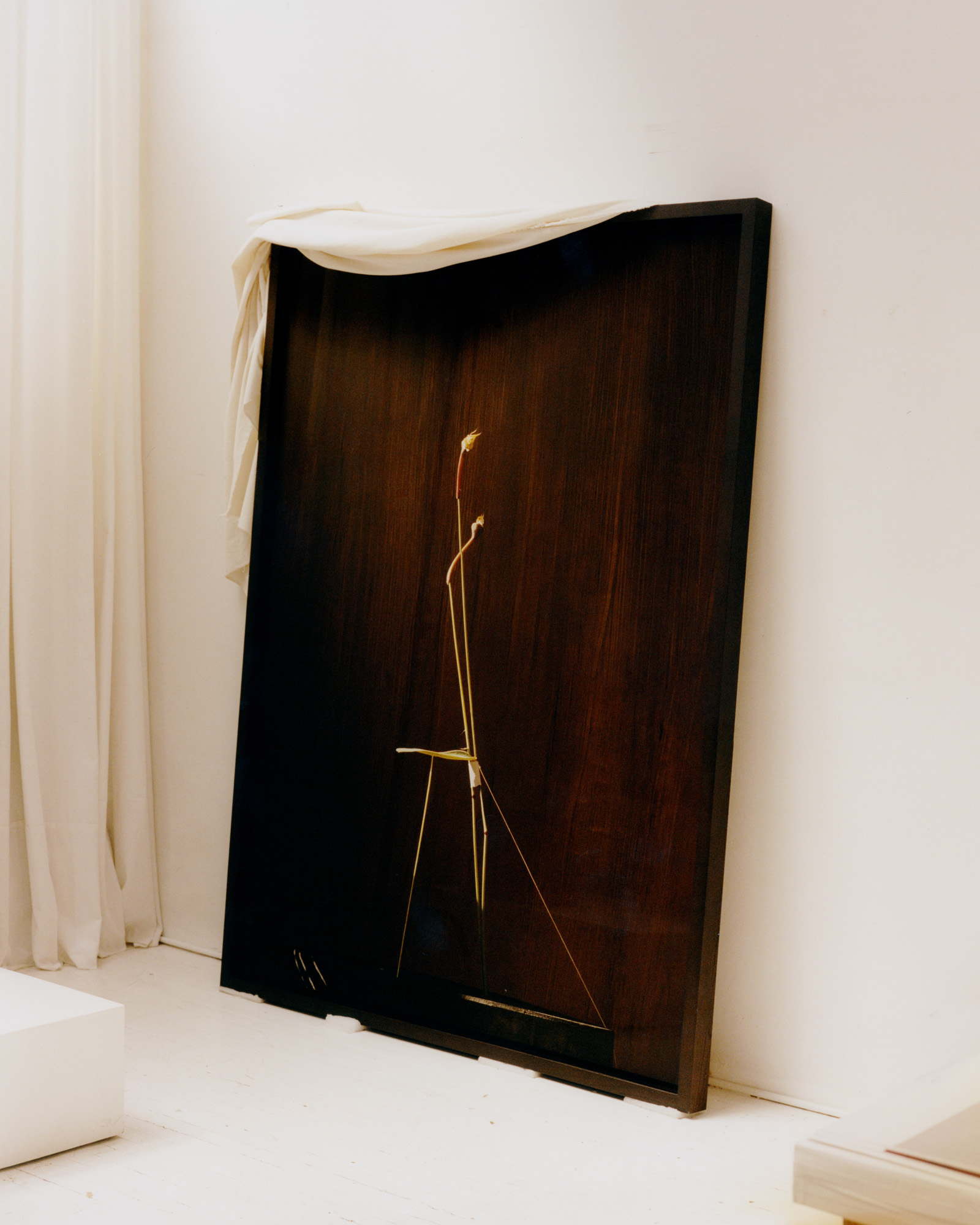 Dominik Tarabanski studio
