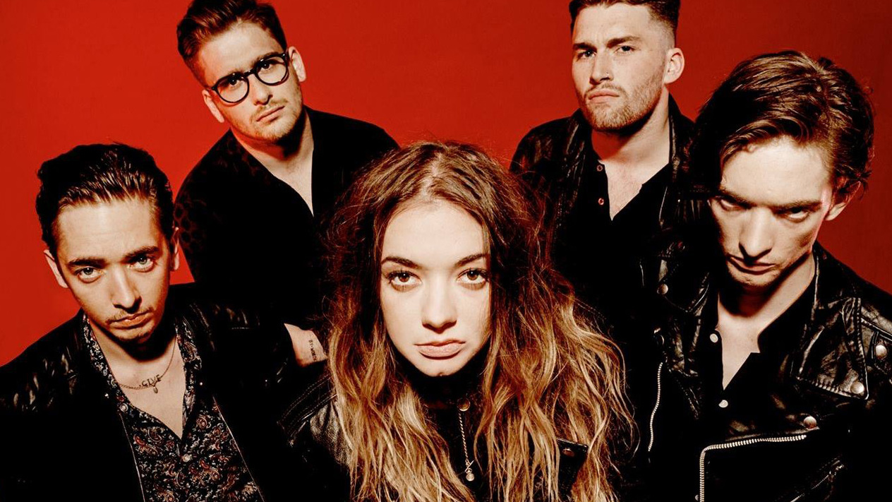 Marmozets