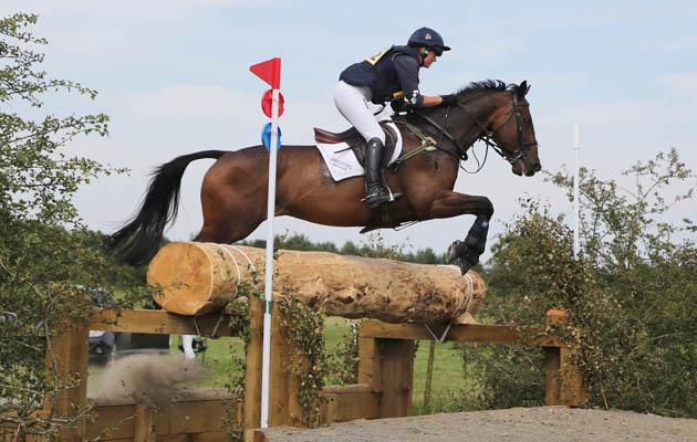 BURGHAM-HTGUIDE.jpg