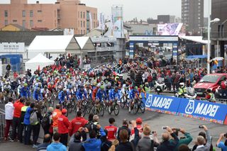 The peloton in the mens road race at the 2014 World Road Championships