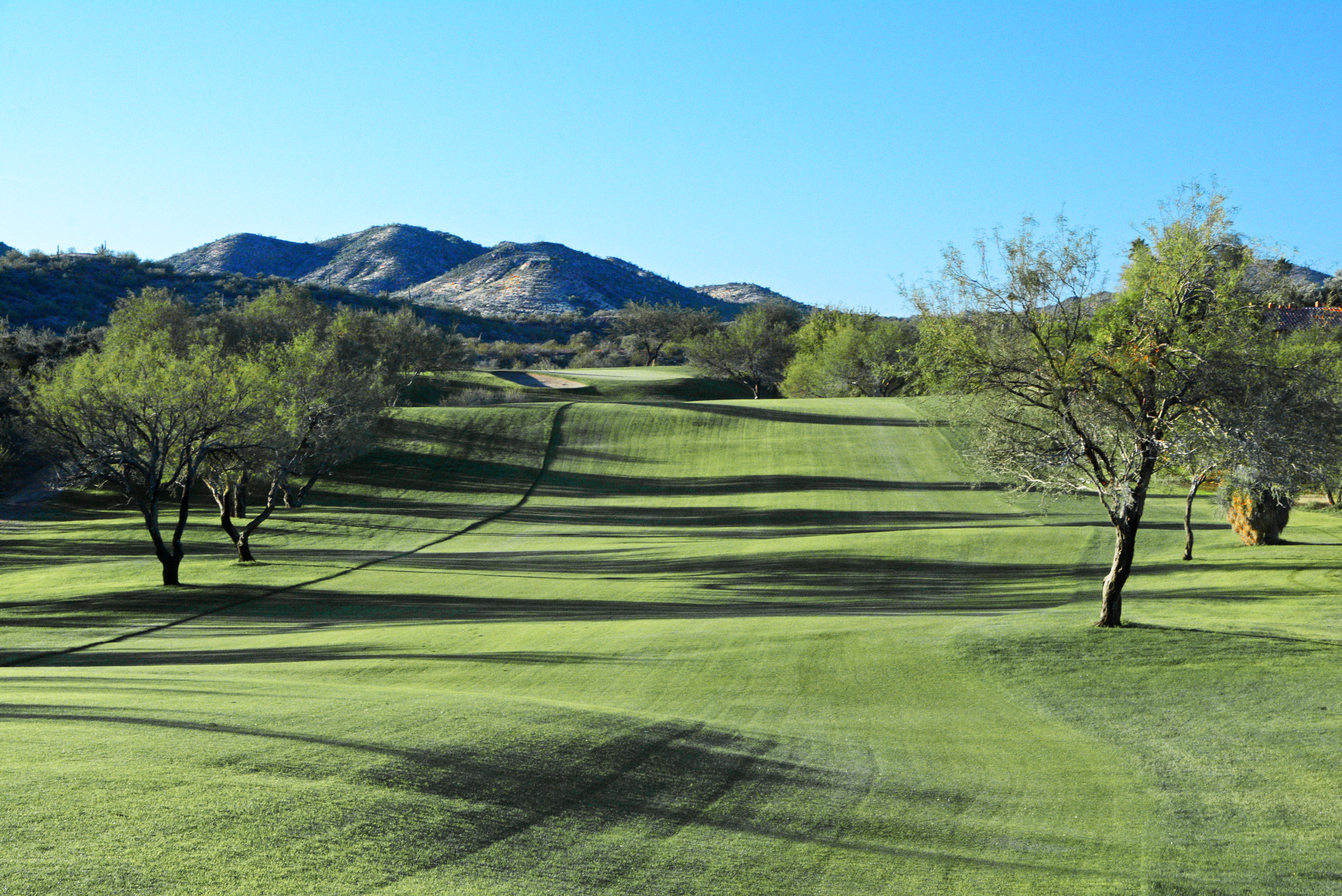 Rancho de los Caballeros golf course on a sunny day.