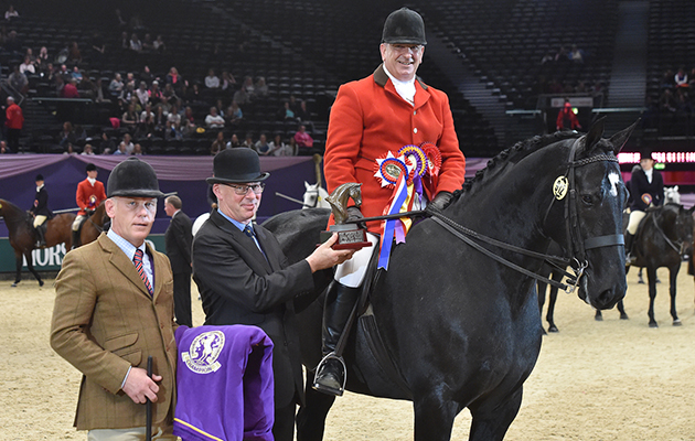 Ebony King Small Show Hunter of the Year Championship