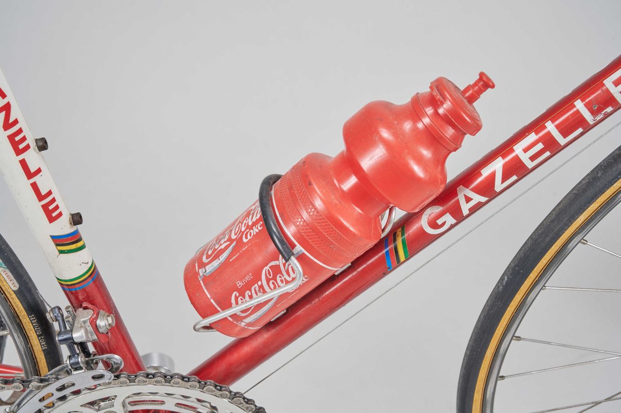 Theunisse Gazelle