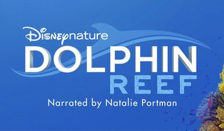 Dolphin Reef