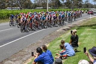 The peloton rides past Langhorne Creek vineyard across a bridge during the fourth stage of the Tour Down Under cycling race in Adelaide on January 19, 2024. (Photo by Brenton EDWARDS / AFP) / -- IMAGE RESTRICTED TO EDITORIAL USE - STRICTLY NO COMMERCIAL USE --