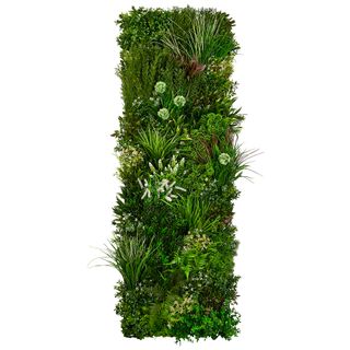 green plant wall with white background