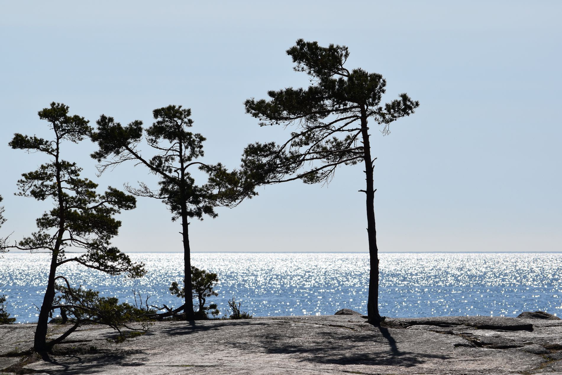 GuruShots - Vivid Landscapes March 2026