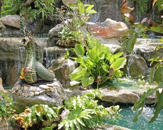 rocks and planting in pool grotto