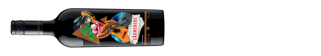 Co-op, Irresistible Carmen&amp;egrave;re, Maipo Valley 2021