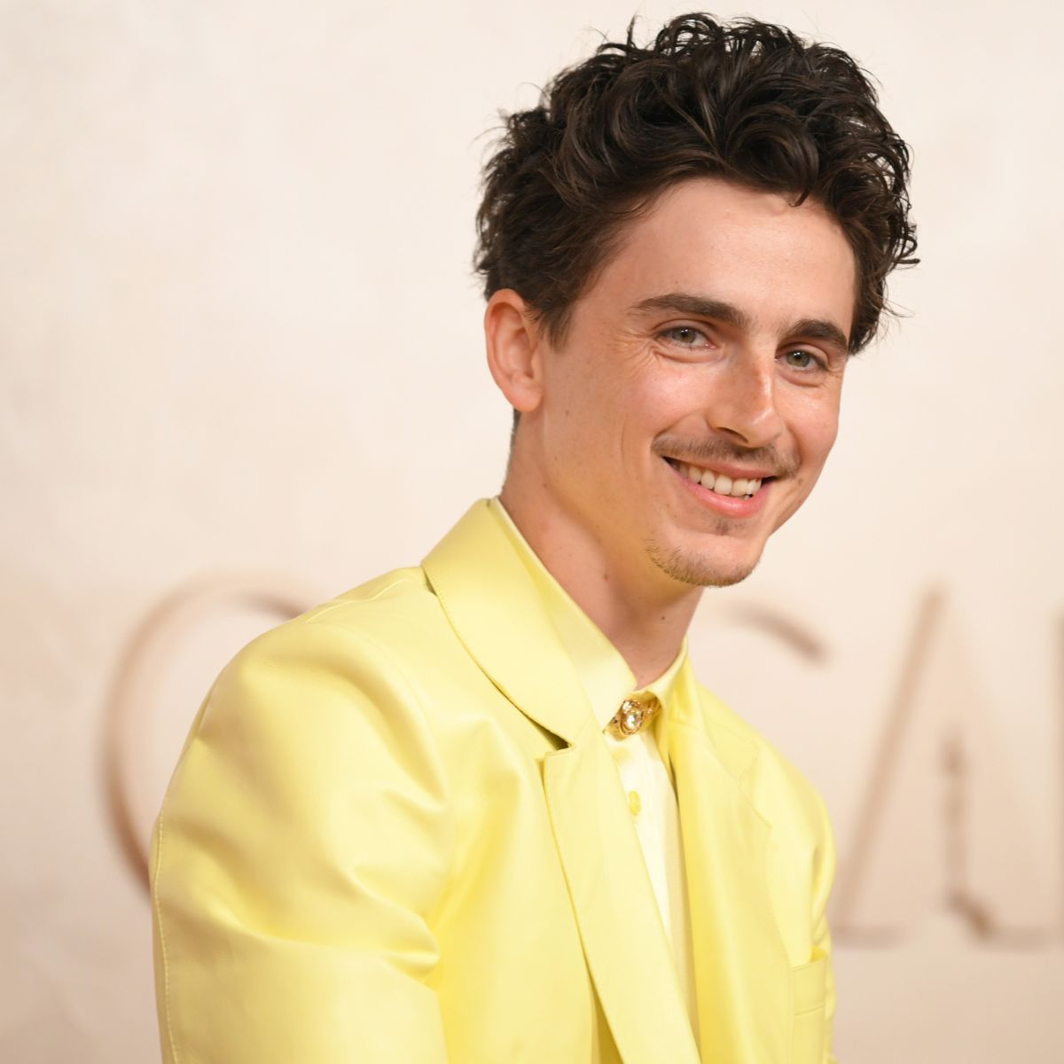 Timothée Chalamet attends the Vanity Fair Oscars Party