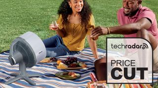 People having a picnic with a FlexBreeze tablemate fan, and Price Cut graphic overlaid