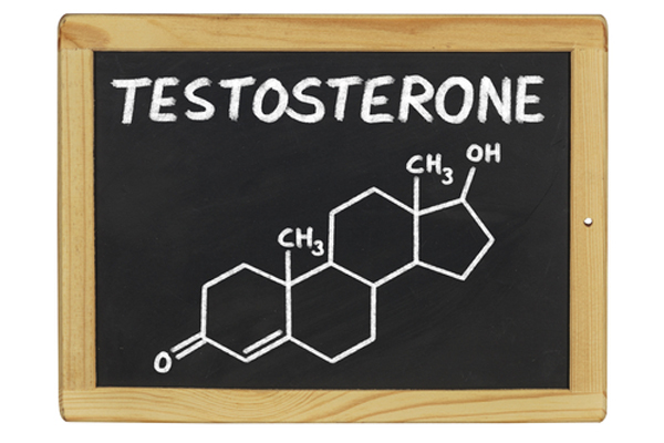Testosterone is the most important male sex