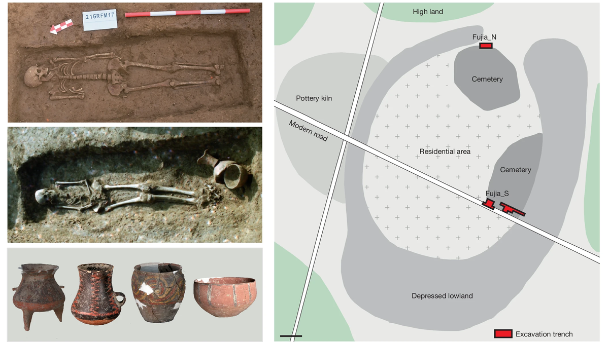Women likely ruled in Stone Age China, DNA analysis of 4,500-year-old skeletons reveal