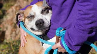 Rescue dog hugging rescuere