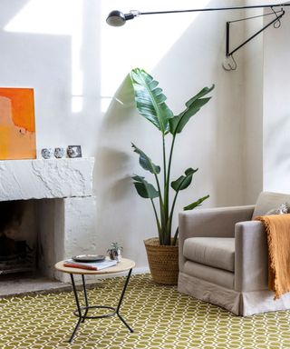 Modern living room with white painted walls, yellow patterned carpet, armchair, tall green plant, fireplace