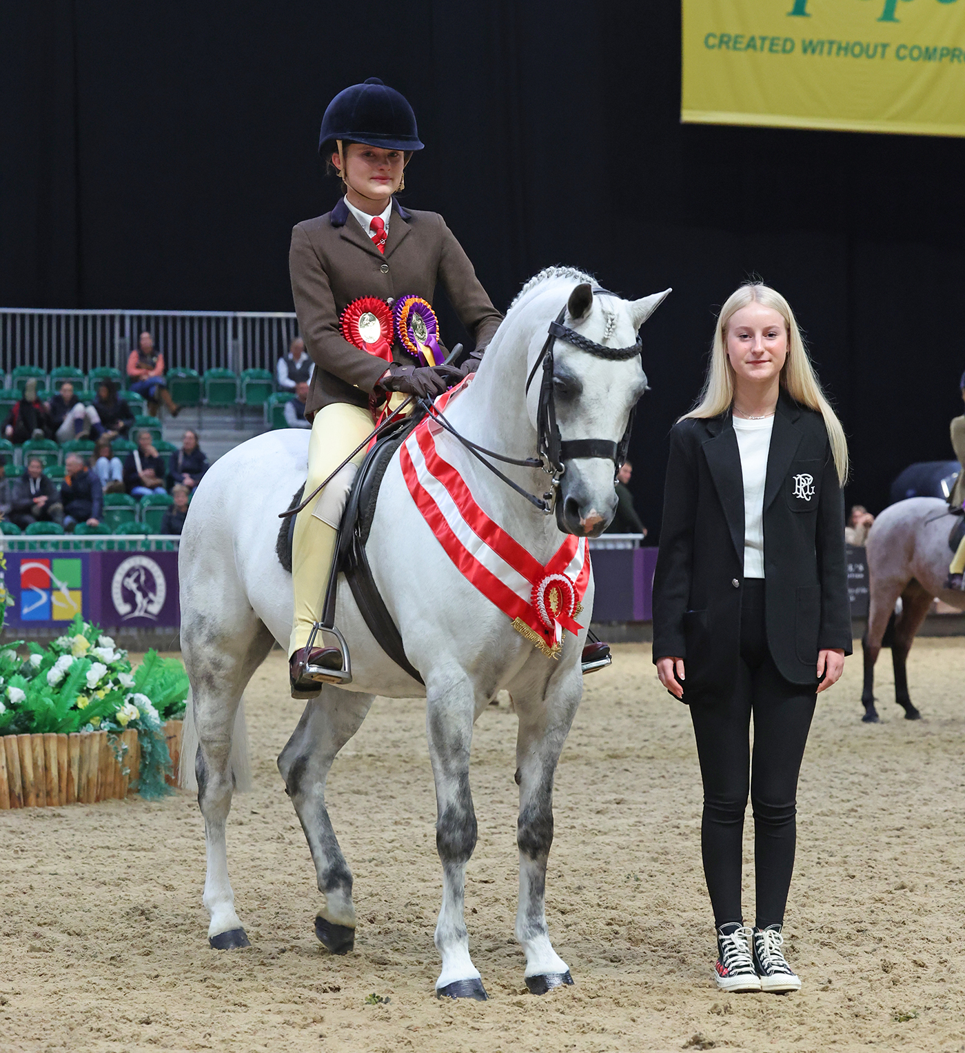 HOYS 2024 show hunter pony of the year
