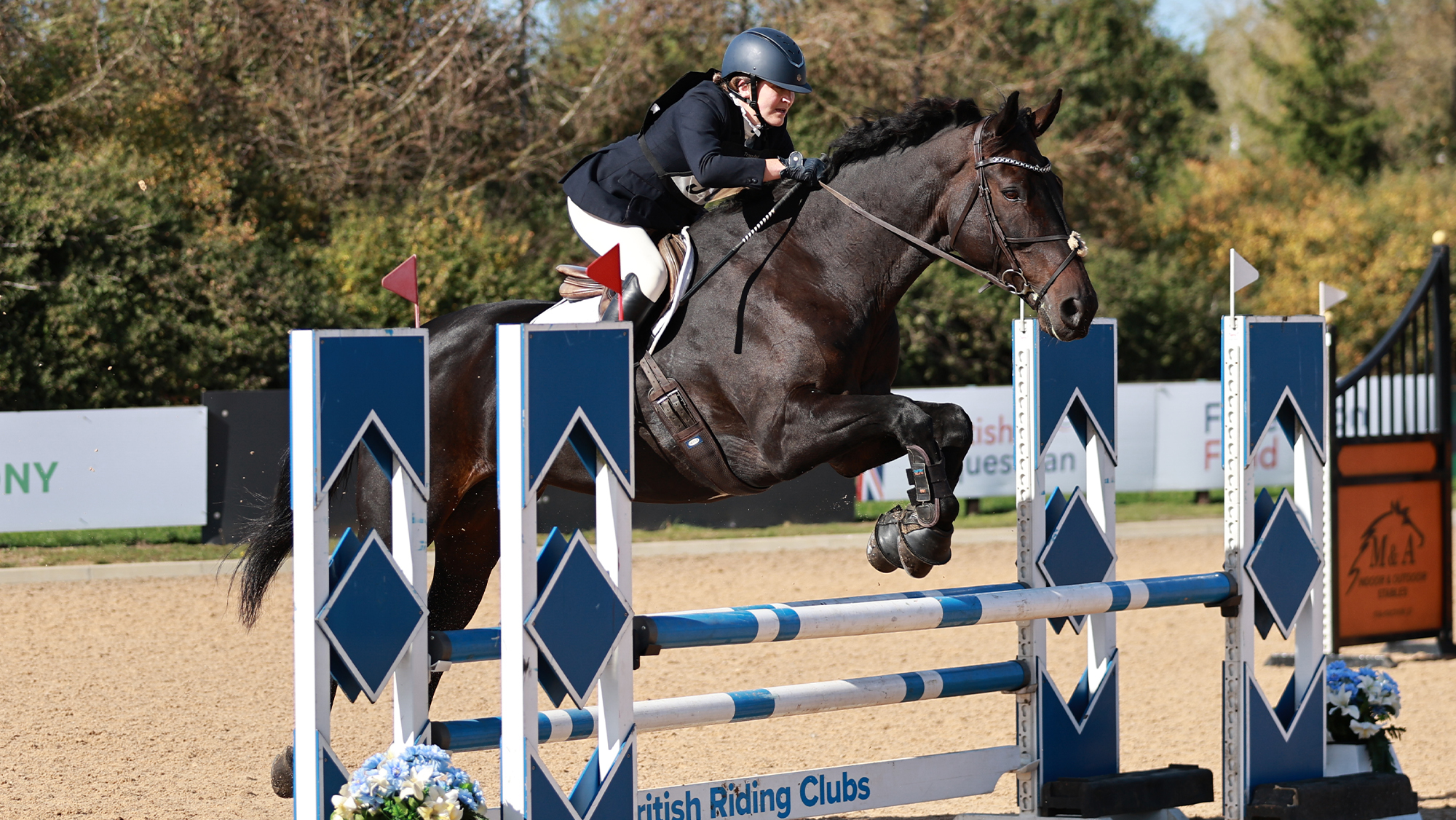 Darc Legend, champion at Riding Club Combined Championships at Aston-le-Walls, in showjumping phase