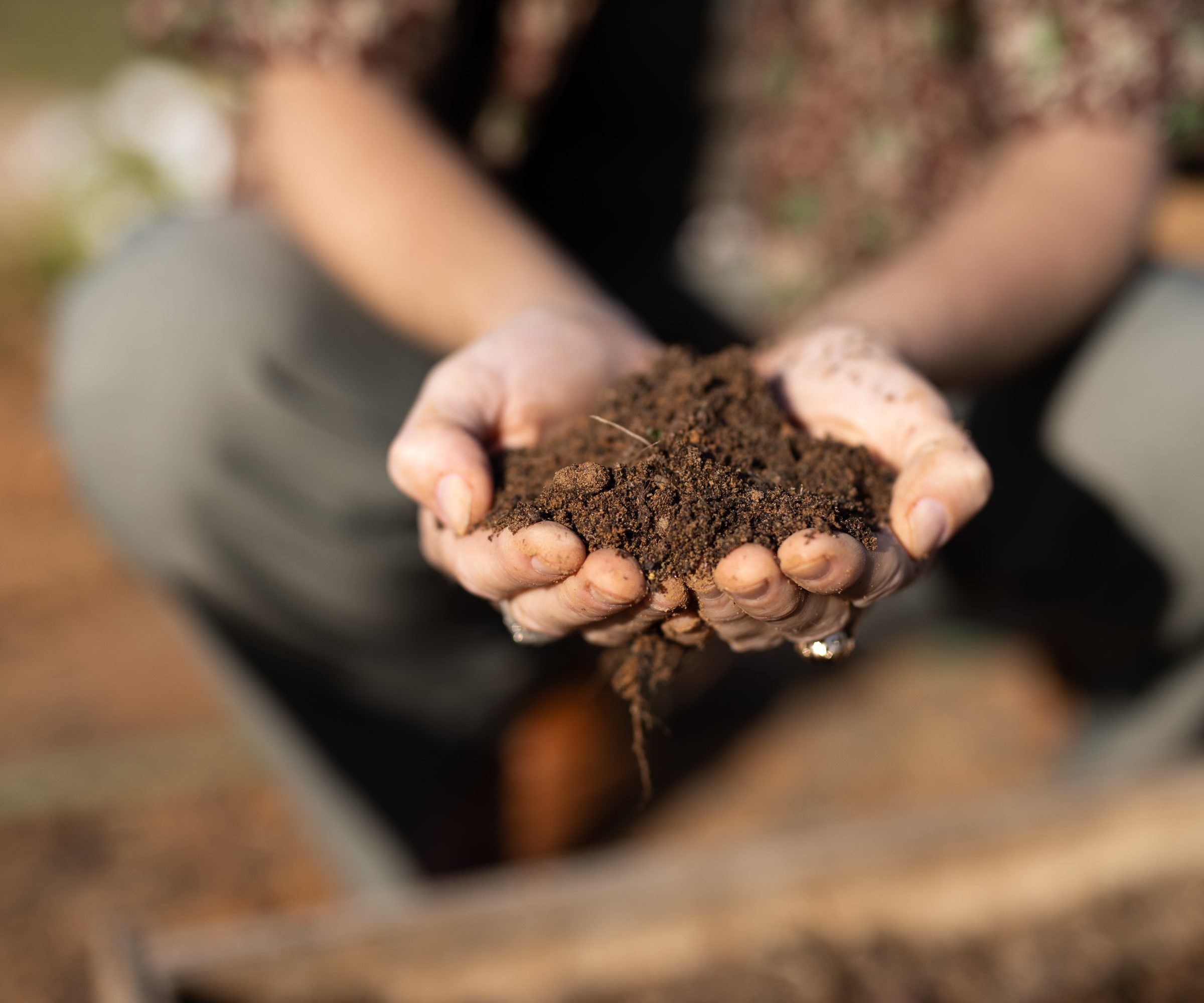 Can Potting Soil Catch Fire These Are The Risks To Consider Homes 