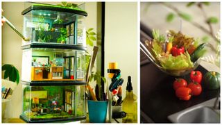 A shot of various small dioramas in plastic cases stacked up and a closeup up of a miniature bowl of food