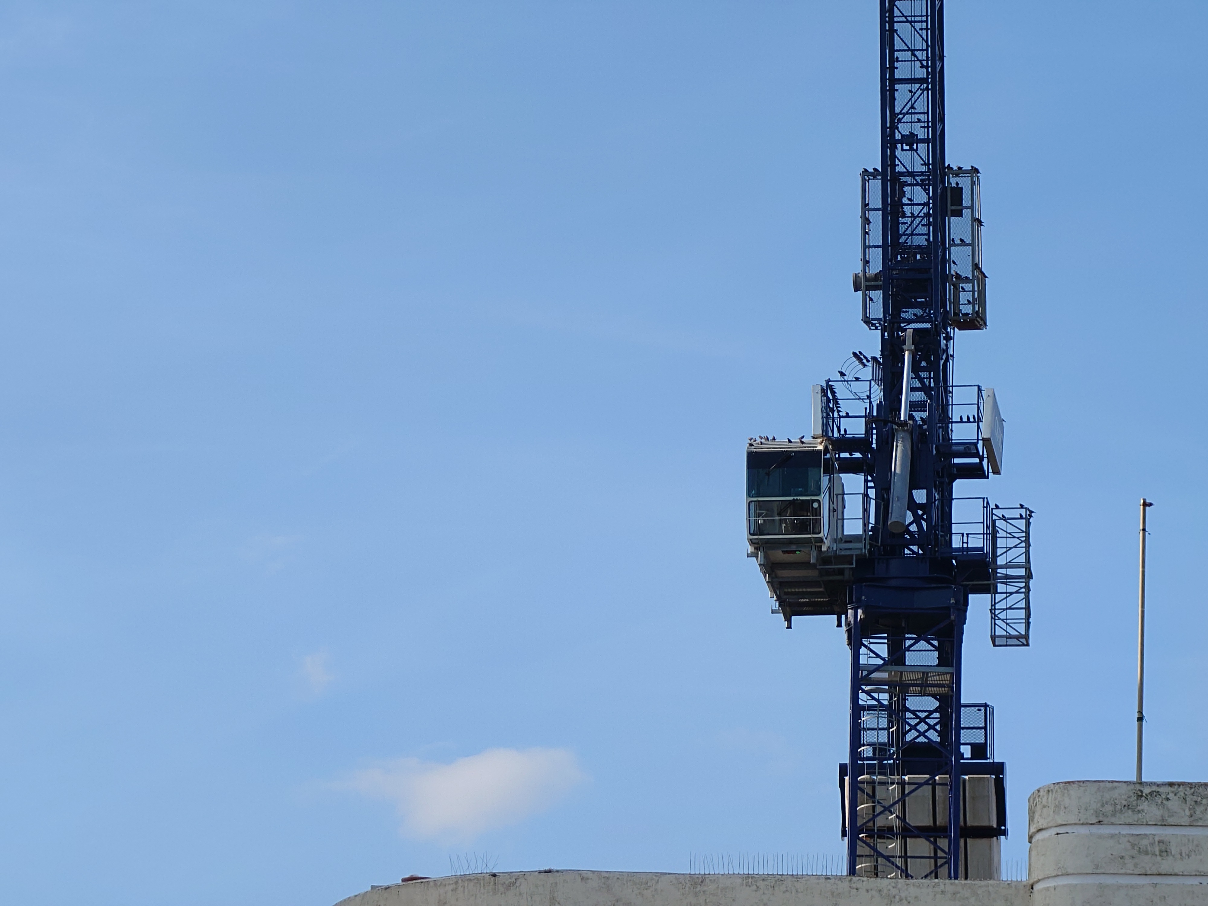 Sony Xperia 1 VII camera samples