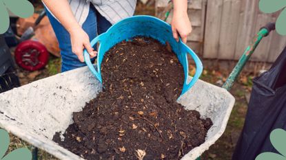 picture of woman emptying soil into wheelbarrow 